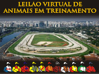 APPS: Leilão Virtual de Treinamento é nesta 6ª feira às 14:00 horas