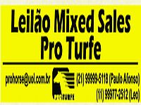 Pro Turfe: Hoje, pontualmente às 19h, Leilão Mixed Sales