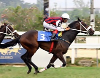 Araras terá parelha forte no GP Zélia Gonzaga Peixoto de Castro (G1)