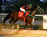 Casual Affair fora do GP Cruzeiro do Sul – Derby (G1)