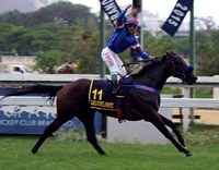 Cruiseliner supera Leading Hat mais uma vez e vence o GP Zélia Gonzaga Peixoto de Castro (G1)