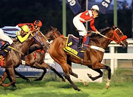 Famous Acteon, o brilhante 84º Derby-Winner do turfe carioca
