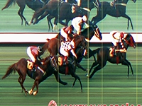 Saindo da última colocação, Hazard surpreende na milha do GP Presidente do Jockey Club (G2)