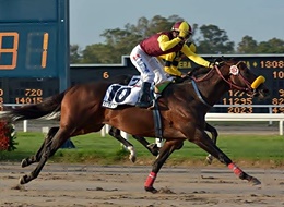 O peruano Liberal conquistou o XXXI Longines GP Asociacion Latinoamericana de Jockey Clubes e Hipodromos (G1)
