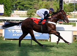 Sixteen Tons mantém invencibilidade e liderança no GP Mário de Azevedo Ribeiro (G3)