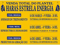 Hoje, às 20 horas, Leilão de Animais em Treinamento do Haras Estrela Energia