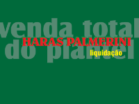 Pro Turfe: Hoje, Venda Total do Haras Palmerini