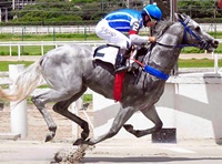 Wenzel Blade arranha o recorde e continua invicto