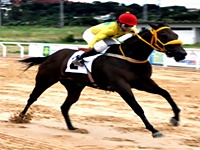 Tríplice Coroa Juvenil, a atração no Cristal