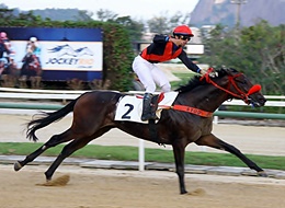 Vitória de Demon Master na Copa Leilões JCB – Potros – ACPCCRJ