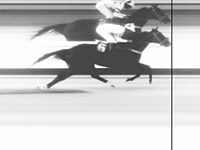 Pacchia, um galope de saúde no GP Emerald Hill (G3)