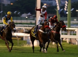 Famous Acteon será preparado para o Grande Prêmio Brasil (G1)