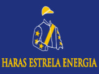 APPS: Hoje, leilão virtual de reprodução do HARAS ESTRELA ENEGIA