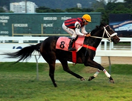 Caritzia e Beach Ball, dobrada do Araras no GP Henrique de Toledo Lara (G3)