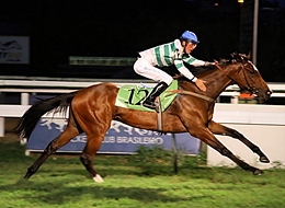 Energia Hupp, a glória da campeã do GP Francisco Vilella de Paula Machado (G2)