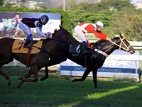 Genial Storm confirma favoritismo na Prova Especial Indian Chris
