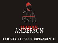 Potranca de 2 anos, 2ª em grupo 3 é destaque no Anderson