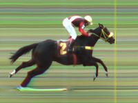 Invicto, Lucky One vence a P.E. Francisco Batistta Giobbi