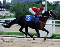 Confira os comentários de Fernando Lopes para as corridas de hoje, na Gávea