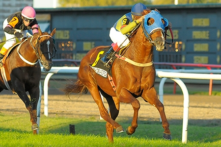 Quinze correm o Gran Premio 25 de Mayo (G1), segunda, em San Isidro
