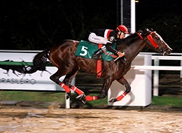 Bayley conquista batismo nobre ao vencer o Clássico Delegações Turfísticas (L.)