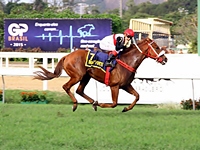 Em seu batismo nobre, Braço Forte dá a Jeanne Alves o 1º G1 de uma joqueta no Hipódromo da Gávea