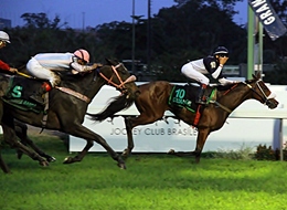 Colorado Girl, a brilhante vencedora do GP Roberto e Nelson Grimaldi Seabra (G1)