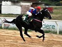 Tríplice Coroa Juvenil é atração no Cristal
