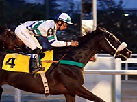 Dez páreos agitam a quinta-feira no Hipódromo do Cristal