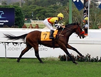 Hayato, um galope de saúde no GP ABCPCC (G2)