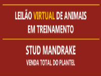 APPS: Leilão Stud Mandrake é na próxima semana