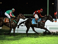 Confirmando progressos, Óbidos fecha o domingo com êxito no GP FINAH (G3)