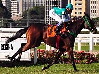 Provas Especiais e Super Betting com R$ 29 mil no simulcasting com Cidade Jardim