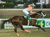 Reunião com 11 páreos movimenta o Hipódromo do Cristal