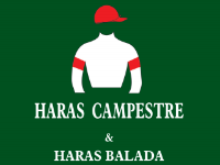 APPS: Nesta 5ª feira, Leilão dos Haras Campestre e Balada