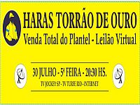 Na quinta-feira, 30/07, o leilão do Haras Torrão de Ouro