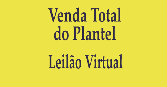 APPS: Catálogo do Leilão do Haras Torrão de Ouro