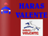 TBS: Nesta quinta-feira, imperdível Leilão do Haras Valente