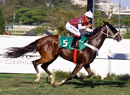 Dona Flor lidera dobrada do Araras no GP Duque de Caxias (G2)