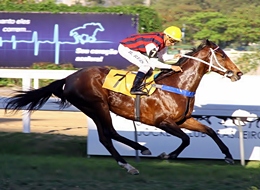 De ponta a ponta, Double Care comanda dobrada do Araras no GP Roger Guedon (G3)