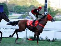Em ótima marca, Navicello larga e acaba no GP Roberto Gabizo e Adhemar de Faria (G3)