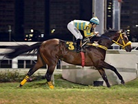 GP Presidente da ABCPCC (G3): Perfect Event, de bandeira a bandeira o melhor