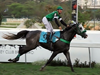 Xingu Thunder atropela forte para vencer o GP José Paulino Nogueira (G3)