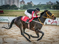 Onze páreos a partir das 15 horas no Hipódromo do Cristal