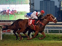 Em grande atropelada, Braço Forte vence o GP Ipiranga (G1) e abre caminho para a Tríplice Coroa