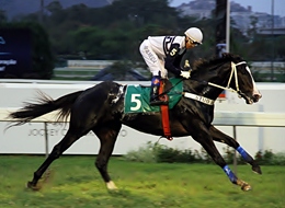 Fidedigno, um galope de saúde no GP João José e José Carlos de Figueiredo (G3)