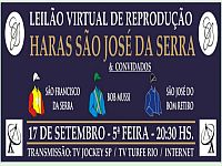 Banco de vídeos do Leilão da próxima quinta-feira