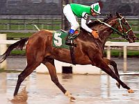 Éguas em ação na melhor carreira do simulcasting com São Paulo