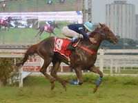 Imbatível, Juno reina soberana no GP Barão de Piracicaba (G1)