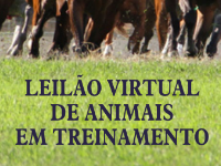 APPS: Amanhã, Leilão Virtual de Treinamento da APPS
